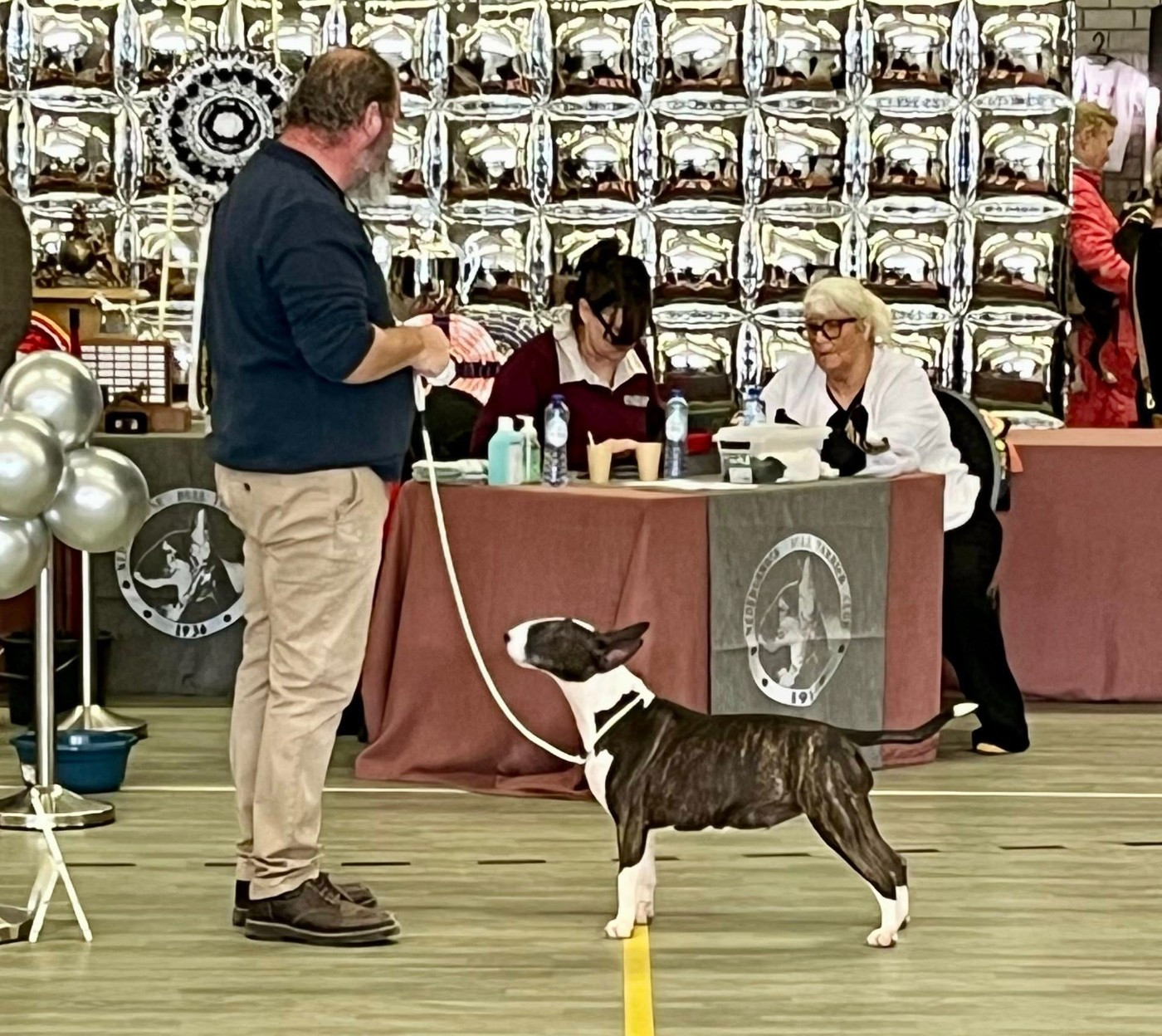 Bull's Den Alita Battle Angel