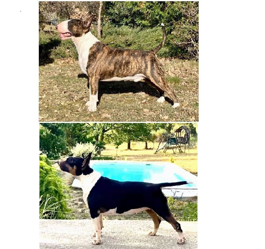 Des bébés attendus en février 2026 ?